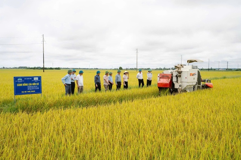 Mở rộng sản xuất nông nghiệp phát thải thấp