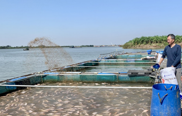 Hưng Yên thúc đẩy phát triển lĩnh vực thuỷ sản