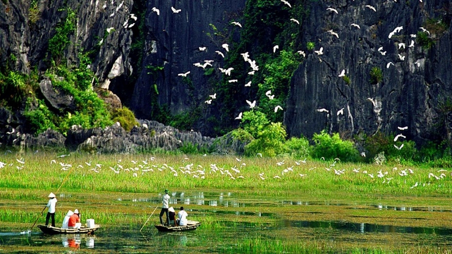 Lào Cai tổ chức nhiều hoạt động thiết thực hưởng ứng Ngày Quốc tế Đa dạng sinh học