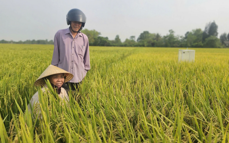 Đồng Tháp tập trung sản xuất nông nghiệp giảm phát thải