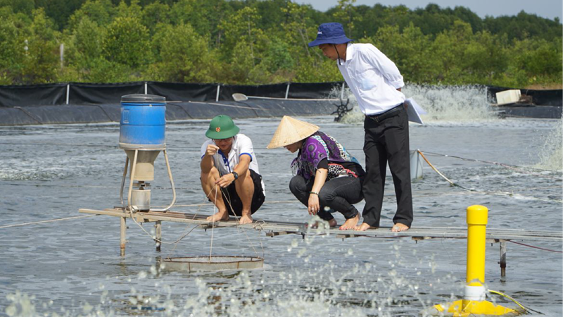 AI tạo đột phá cho nuôi trồng thủy sản