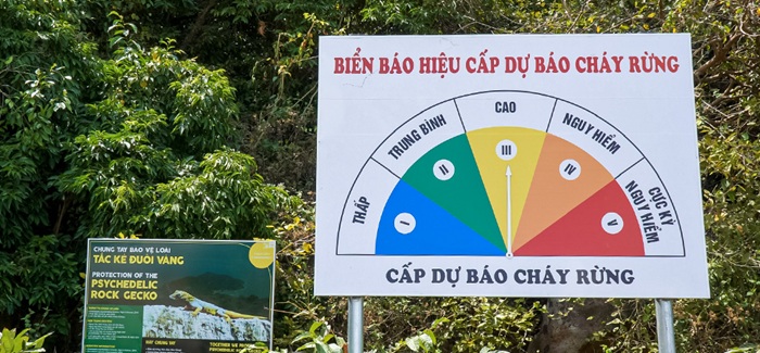 Mức phạt đối với hành vi phá hủy các công trình bảo vệ, phát triển rừng 