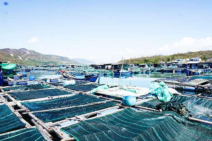 Giải bài toán áp lực môi trường cho vùng nuôi trồng thủy sản