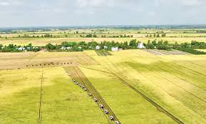 Chuyển đổi phát thải thấp chỉ bền vững khi nông dân thấy lợi ích kinh tế rõ ràng