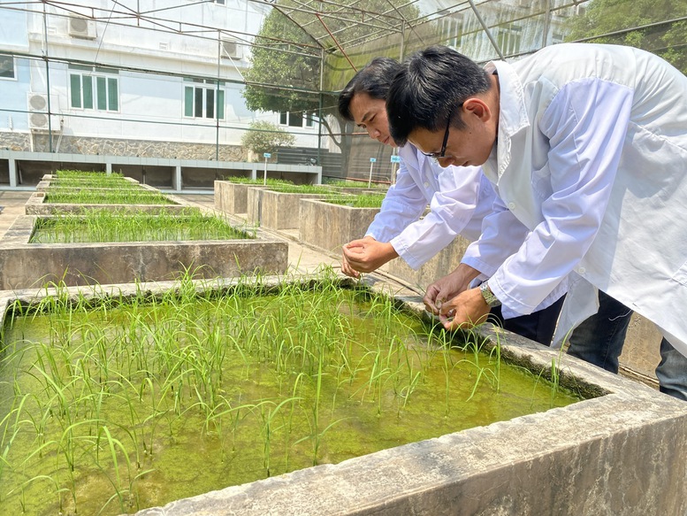 Khoa học công nghệ và hệ sinh thái giống: Đưa nông nghiệp Việt ra thế giới
