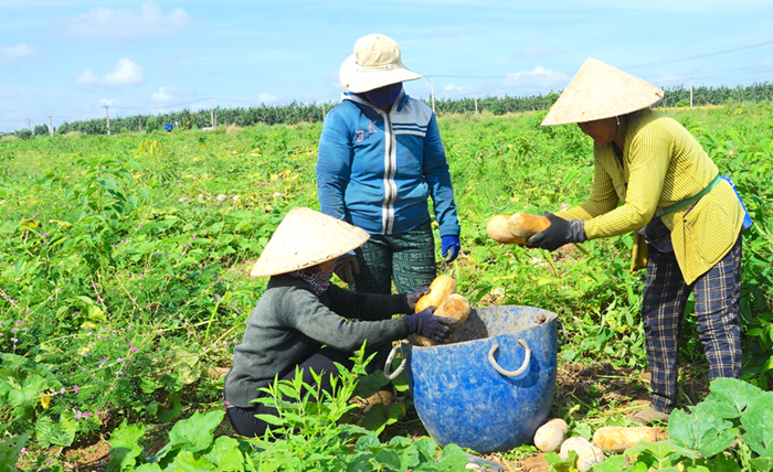 Tây Ninh dự kiến phân bổ 8,5 tỷ đồng hỗ trợ hộ nghèo