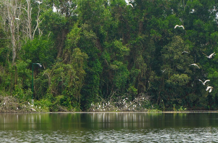 Các khu Ramsar đang phải đối mặt với nhiều sức ép