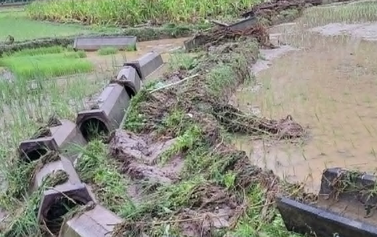 Tuyên Quang: Mưa lớn, di dời khẩn cấp nhiều hộ dân để đảm bảo an toàn