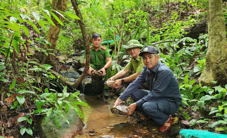 Gia Lai: Nhiều động vật quý hiếm được tái thả tại Vườn Quốc gia Kon Ka Kinh