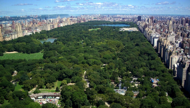 New York thúc đẩy chiến lược phủ xanh đô thị, ứng phó biến đổi khí hậu