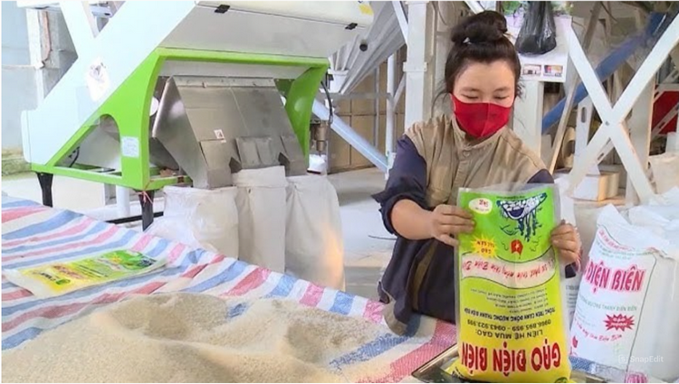 Điện Biên nâng tầm gạo đặc sản nhờ chỉ dẫn địa lý
