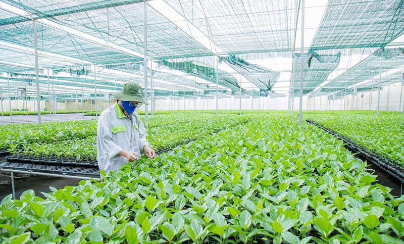 Ưu tiên phát triển khoa học công nghệ, đổi mới sáng tạo và chuyển đổi số