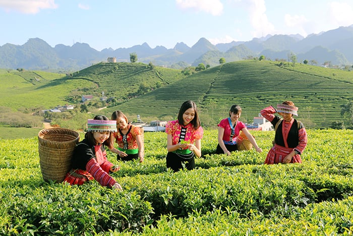 Xây dựng bản đồ số, quảng bá du lịch nông thôn