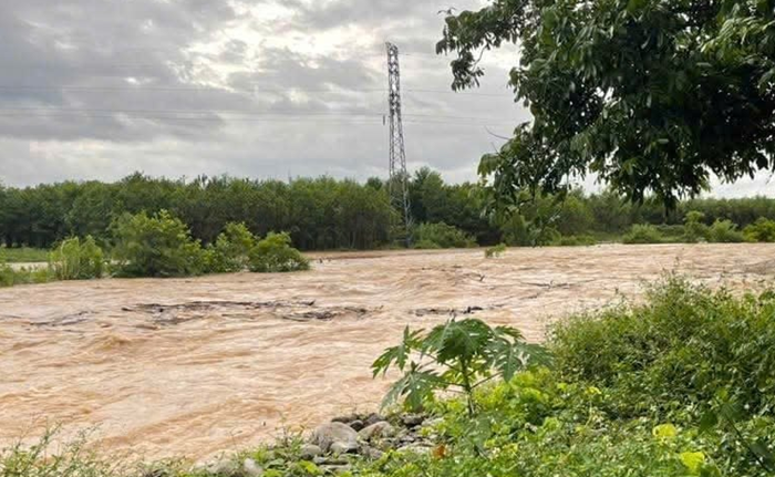 Thời tiết ngày 4/7: Bão số 1 tiến sát Quảng Ninh, Bắc Bộ mưa lớn diện rộng