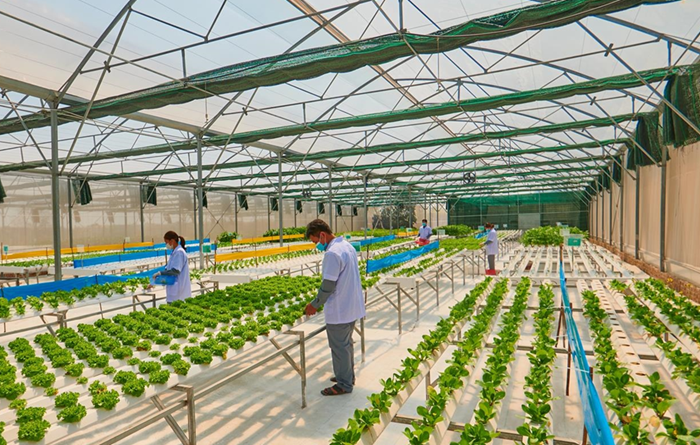 Nhiệm vụ trọng tâm phát triển khoa học công nghệ, đổi mới sáng tạo và chuyển đổi số