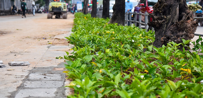 Dự án cải tạo vỉa hè phải tuân thủ nghiêm ngặt quy phạm pháp luật
