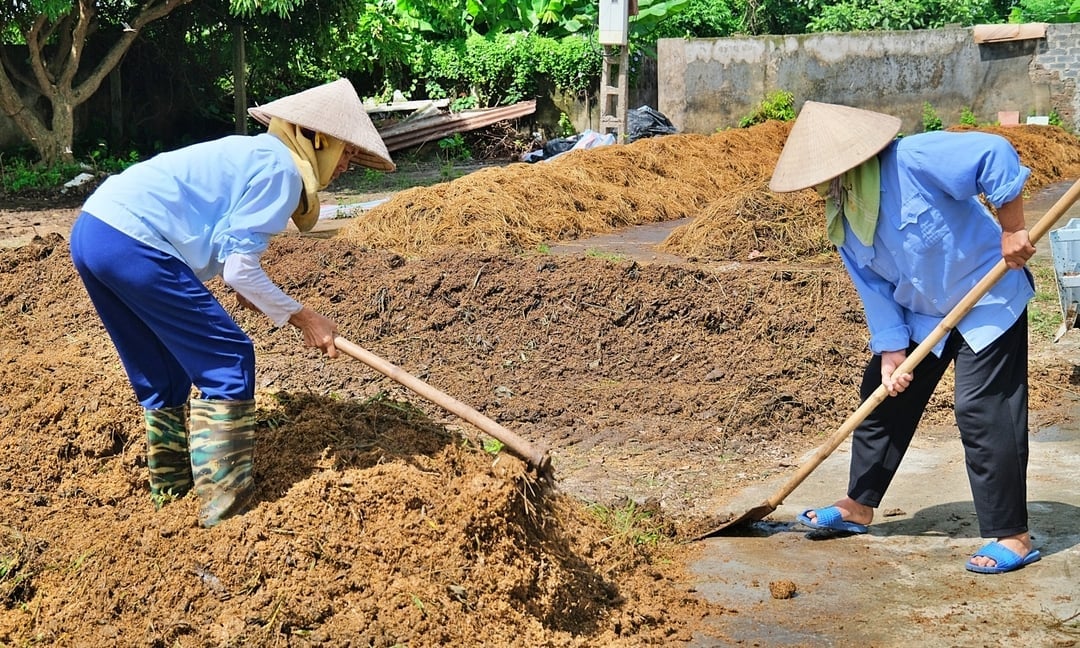 Giảm ô nhiễm từ tận dụng tối đa rơm, rạ sau thu hoạch