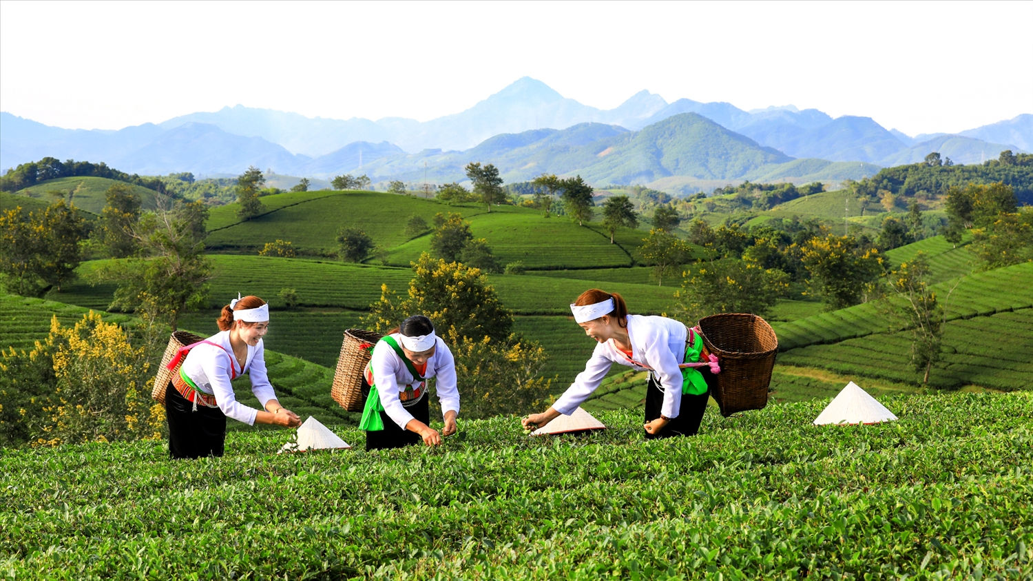 Chú trọng công tác môi trường trong phát triển sản phẩm OCOP