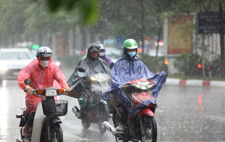 Thời tiết ngày 29/7: Mưa lớn bao trùm nhiều khu vực trên cả nước