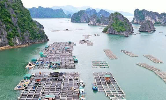 Hạ tầng và quyền tài sản – Kỳ vọng tạo ‘cú hích’ giúp công nghiệp nuôi biển phát triển