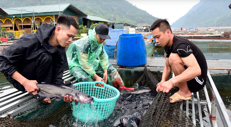 Khơi thông nguồn lực, thúc đẩy tái cơ cấu trong nông nghiệp