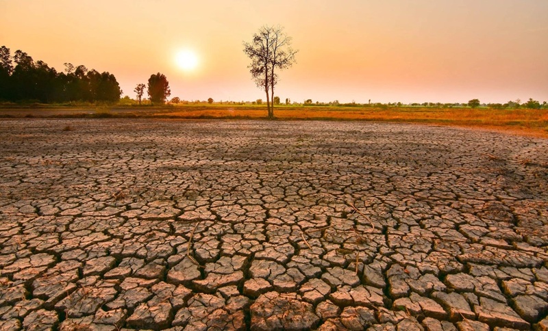 El Nino đang mạnh lên rất nhanh