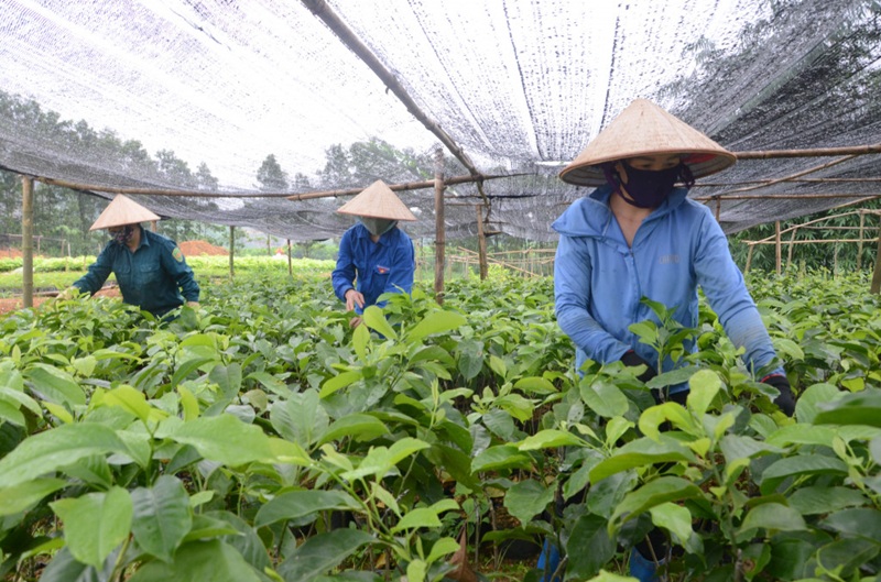 Quảng Ninh đẩy mạnh nghiên cứu, phát triển sản phẩm công nghệ chiến lược