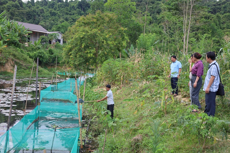 Phát triển kinh tế tuần hoàn từ mô hình gia trại “trên bờ, dưới nước” tại Nghệ An