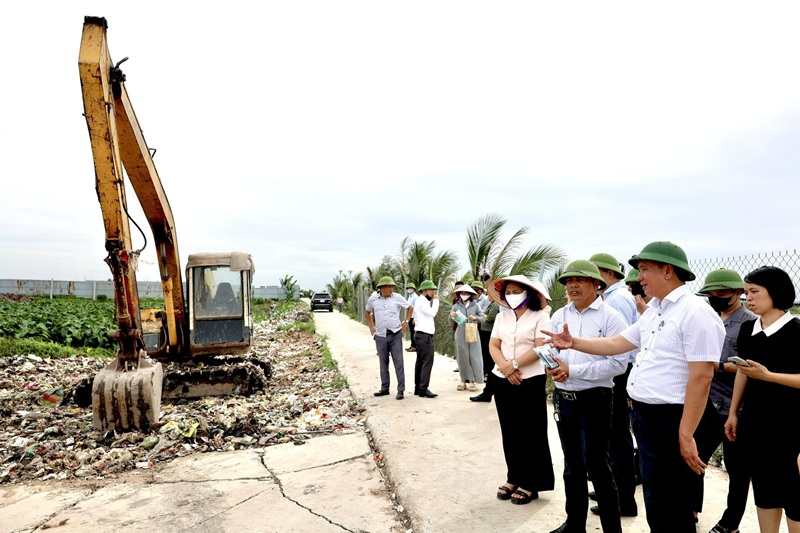 Quyết sách của Hải Phòng về môi trường và biến đổi khí hậu