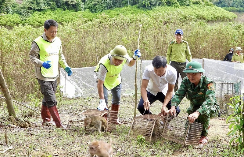 An Giang: Công khai đường dây nóng tiếp nhận thông tin bảo vệ động vật hoang dã