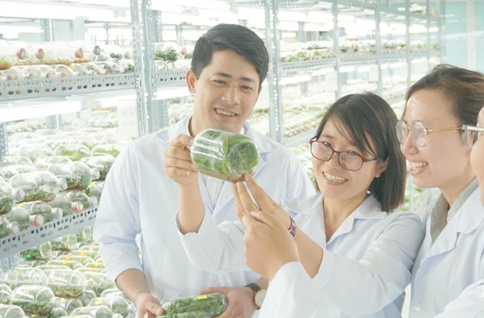Tiến độ triển khai các nhiệm vụ phát triển công nghệ chiến lược