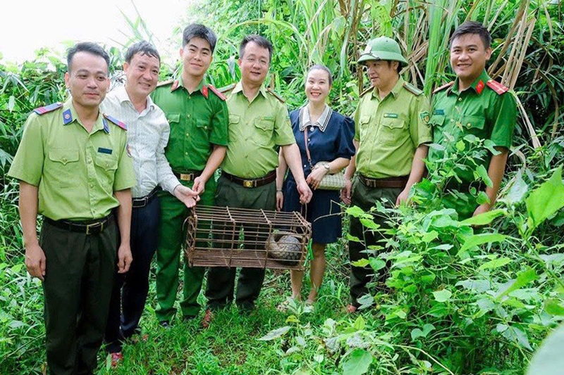 Nghệ An: Người dân tự nguyện giao nộp cá thể tê tê quý hiếm