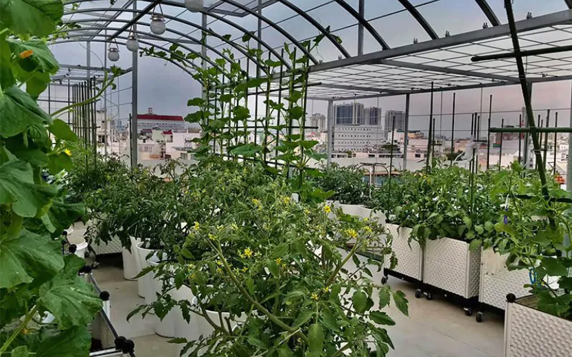 Anh nghiên cứu, phát triển các giống cây trồng có khả năng chịu hạn