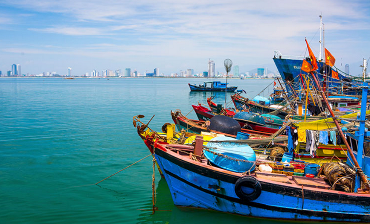 Hải Phòng dỡ bỏ lệnh cấm biển