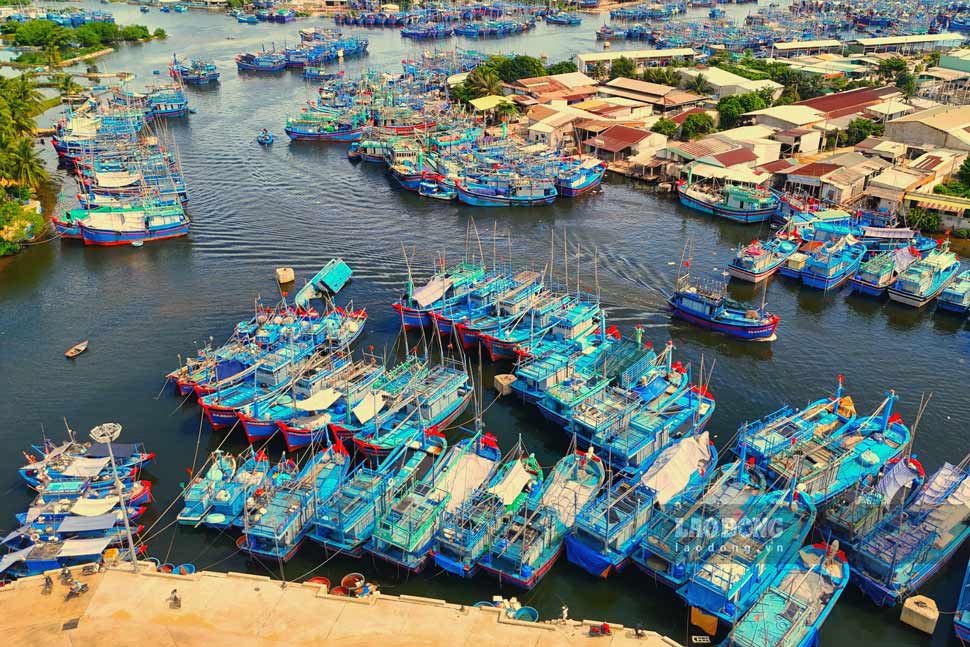 Gia Lai tăng cường phối hợp liên ngành trong bảo vệ nguồn lợi thủy sản