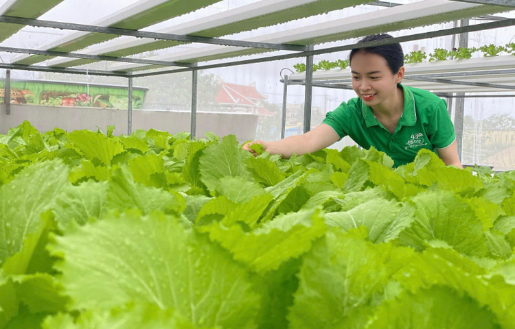 Phát huy vai trò hợp tác xã trong chuyển đổi mô hình kinh tế tuần hoàn