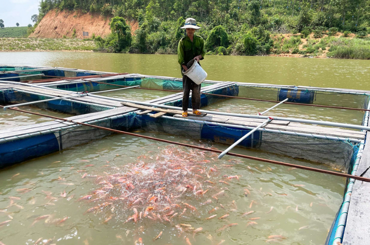 Lào Cai: Nâng cao sản lượng nuôi trồng thuỷ sản