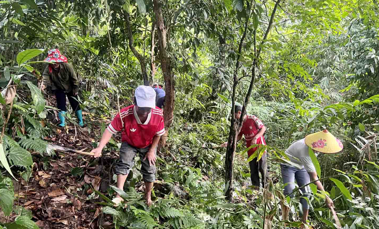 Phát huy vai trò cộng đồng trong bảo vệ rừng