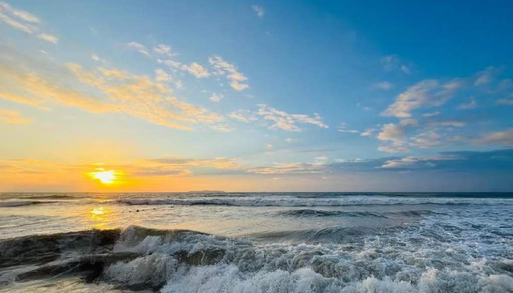 Nhiệt độ bề mặt đại dương tăng cao bất thường
