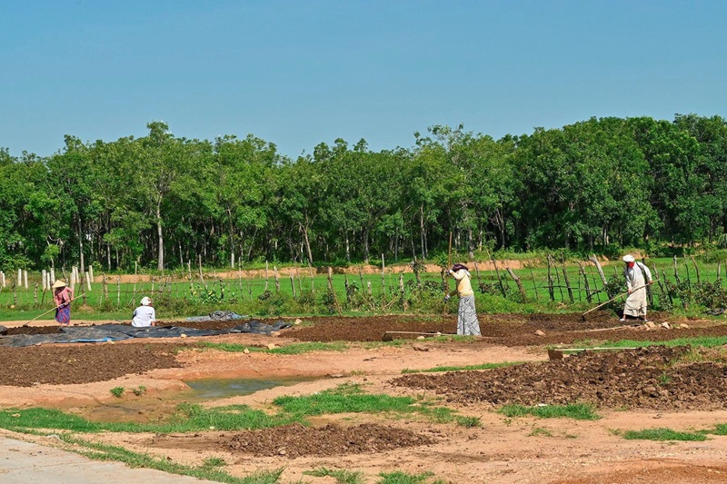 Cần Thơ triển khai chính sách hỗ trợ đất đai đối với đồng bào dân tộc thiểu số