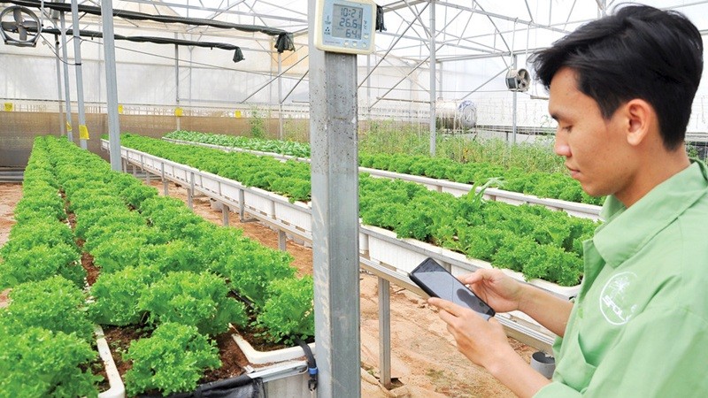 Khoa học-công nghệ tạo động lực phát triển kinh tế tập thể ở Lâm Đồng