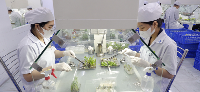Khẩn trương rà soát, xử lý những tồn tại, hạn chế trong phát triển thị trường khoa học – công nghệ