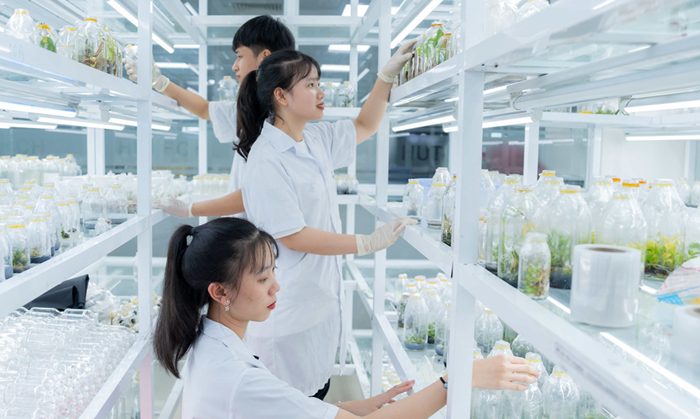Nhiều nhóm vị trí công tác lĩnh vực khoa học, công nghệ phải định kỳ chuyển đổi