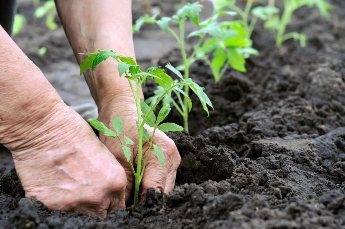 Sơn La: Triển khai các giải pháp cải tạo, phục hồi đất