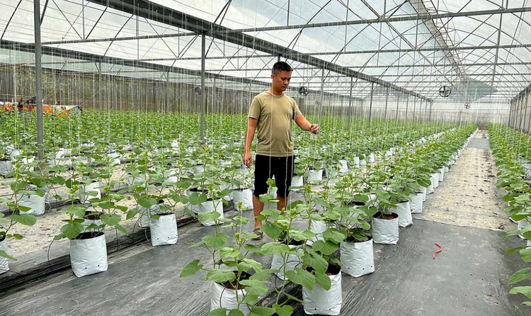 Công nghệ cao góp phần chuyển đổi nông nghiệp xanh
