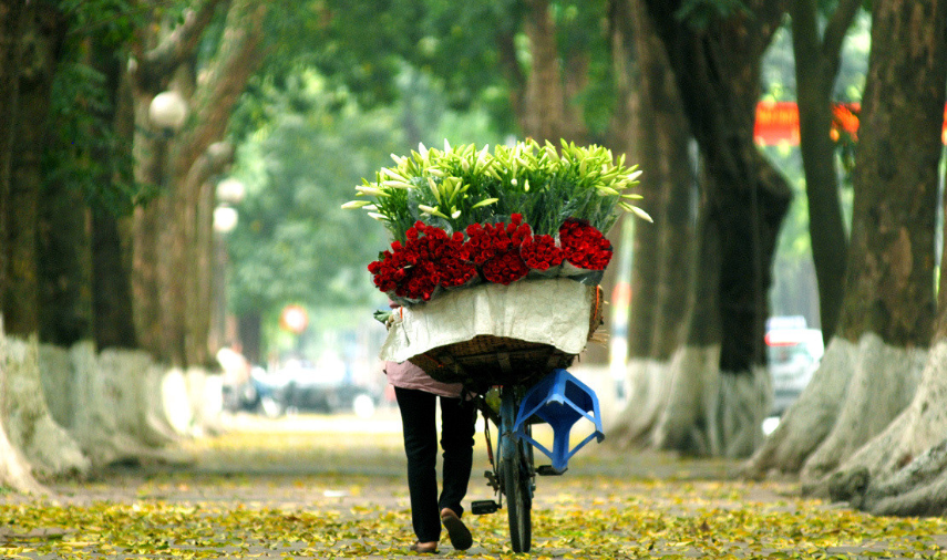 Thời tiết ngày 9/9: Không khí lạnh tràn về, Bắc Bộ trời chuyển mát