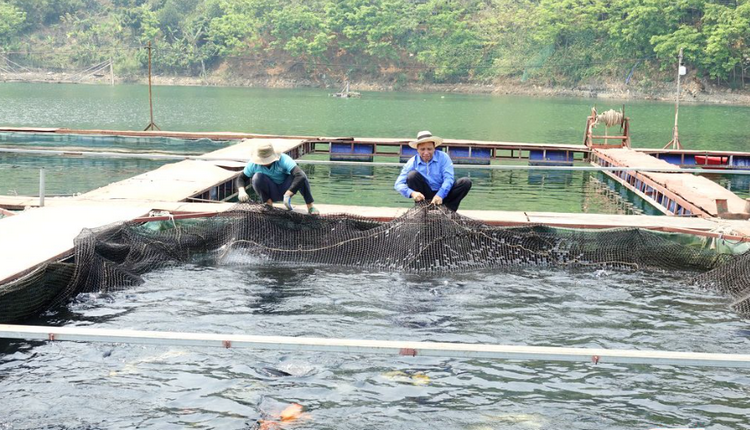 Sơn La: Khai thác hiệu quả lợi thế nước mặt, tạo việc làm ổn định cho các hộ dân