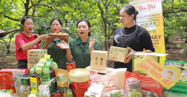 Nông sản Cao Bằng bắt nhịp thương mại số, mở rộng đầu ra