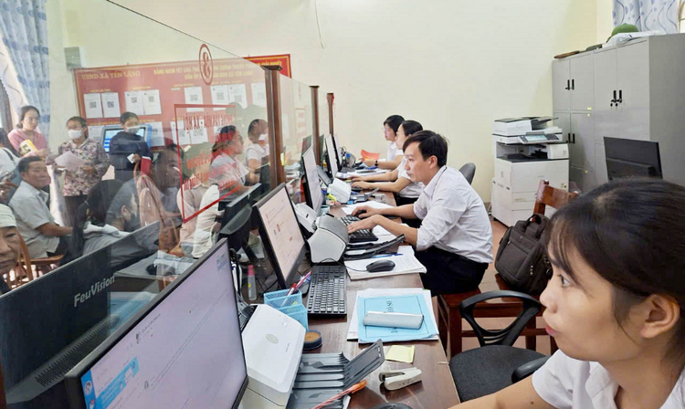 Phú Thọ: Hoàn thiện quy trình thủ tục lĩnh vực trồng trọt, bảo vệ thực vật