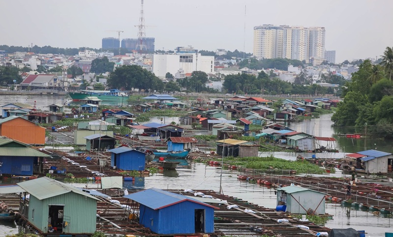 Đồng Nai: Nghiên cứu, hoàn thiện chính sách hỗ trợ giải tỏa lồng, bè nuôi trồng thủy sản trên sông